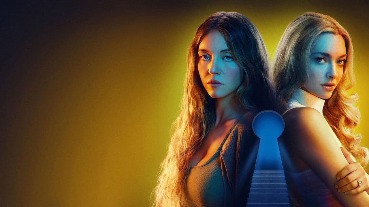 La Femme de ménage